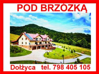 Banner reklamowy obiektu Pod Brzózką
