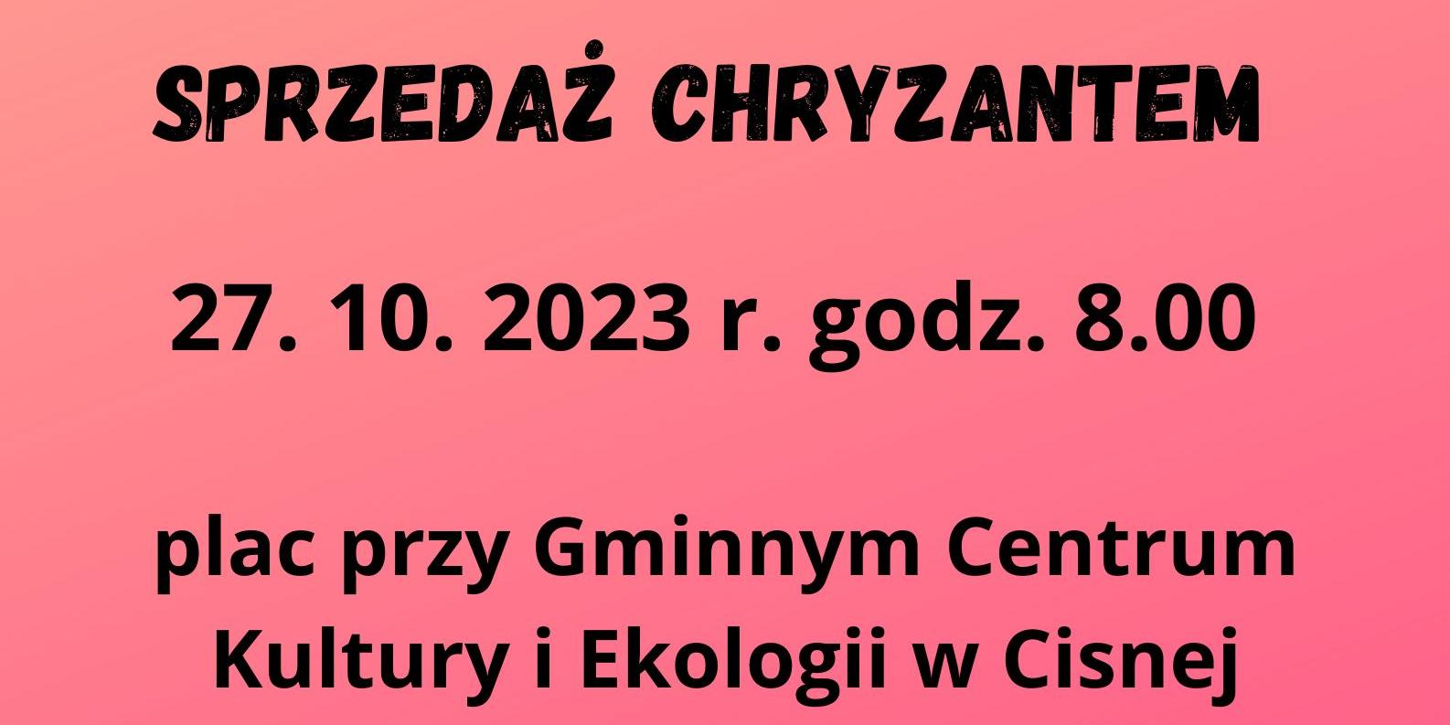 chryzantemy